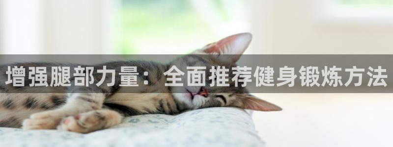 哈哈体育