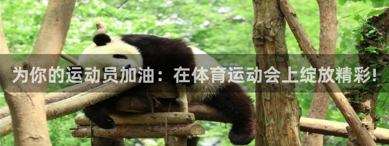 哈哈体育十年