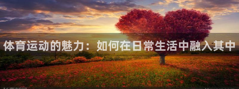 哈哈体育十年
