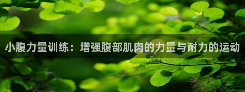 哈哈体育