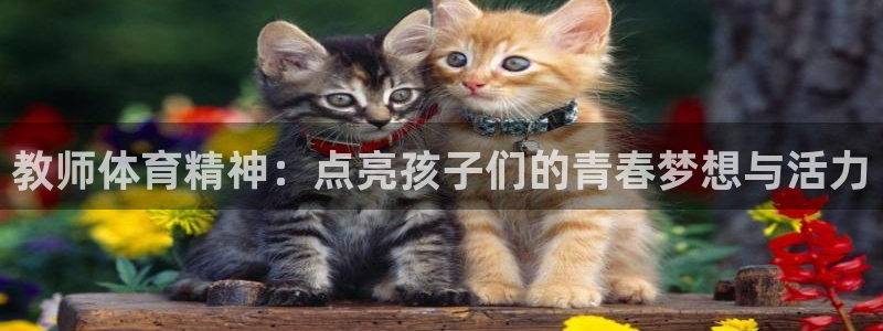 哈哈体育下载