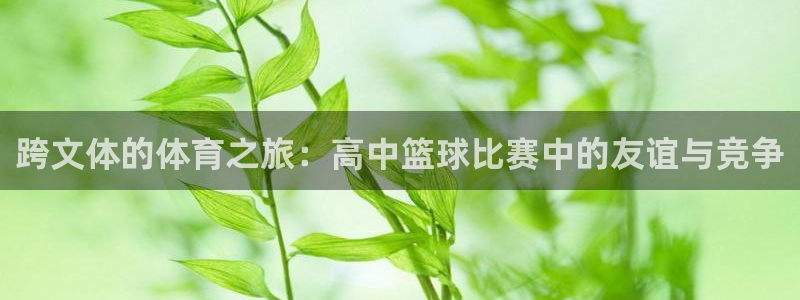 哈哈体育下载