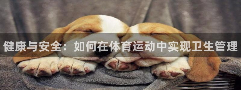 哈哈体育